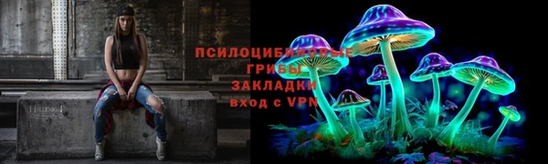 гидропоника Абаза