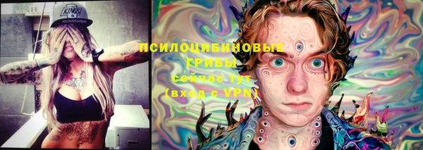 хмурый Алексин