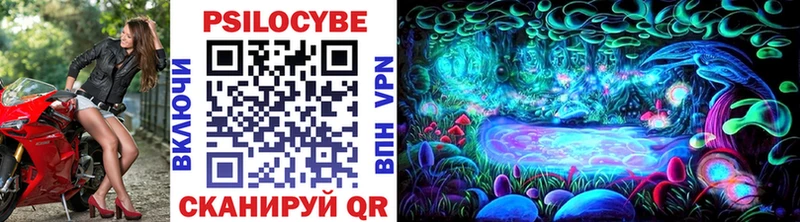 Псилоцибиновые грибы Cubensis  Циолковский 